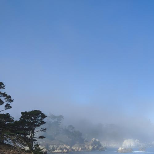 Photo #5215902