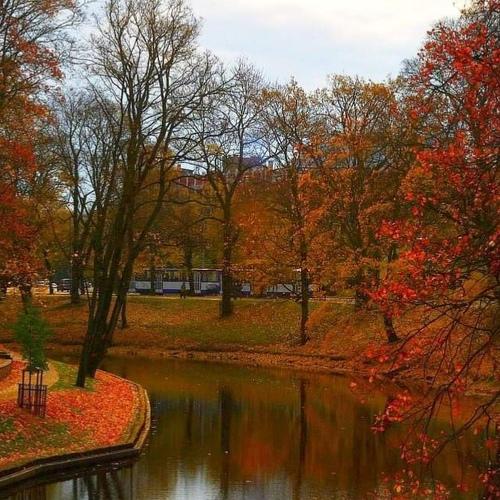 Autumn, sun and reflections