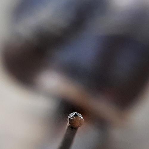Photo #5216887