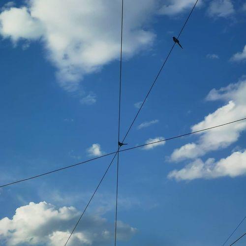 Photo #5216938