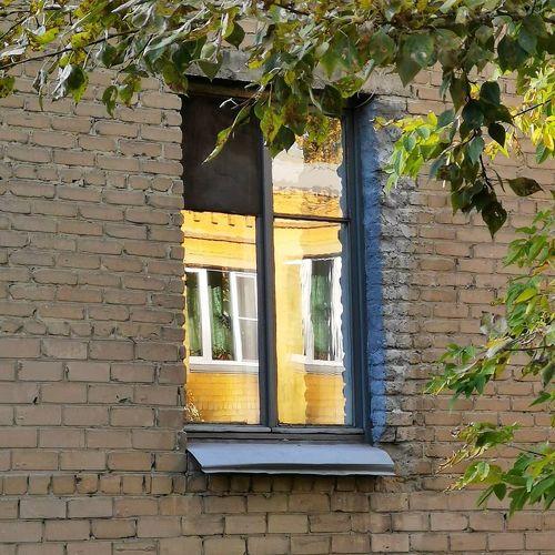 Photo #5216973