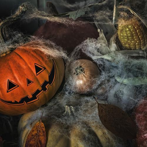 Photo #5217394