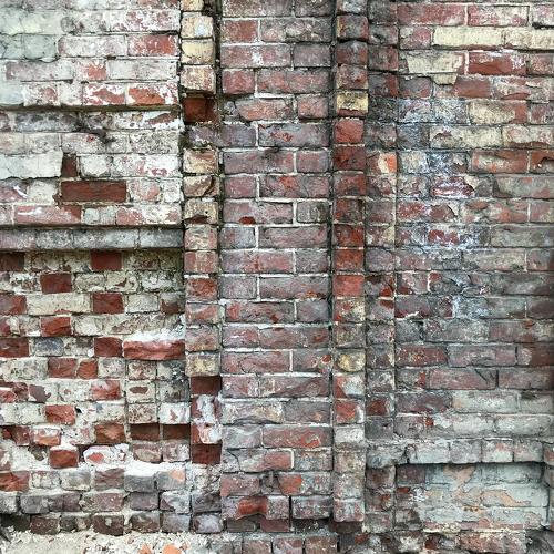 Photo #5217685
