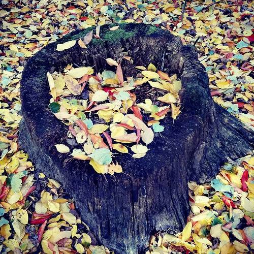 Photo #5217873