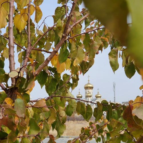 Photo #5218274