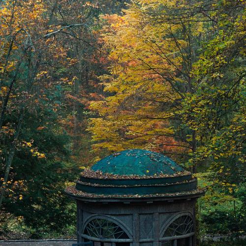 Photo #5218346