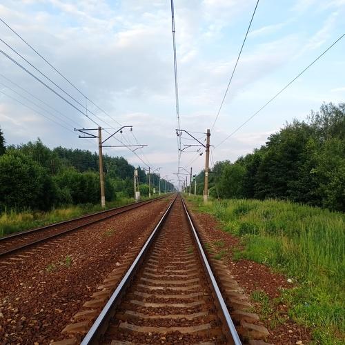 Photo #5218495