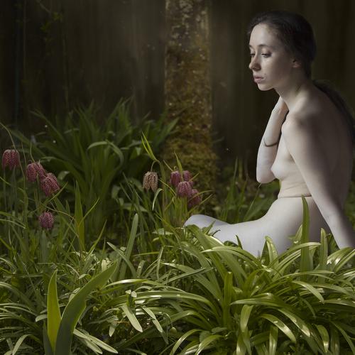 Photo #5218652