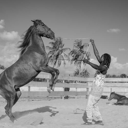 Photo #5219371