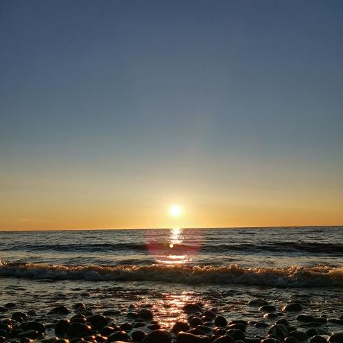 Photo #5220087