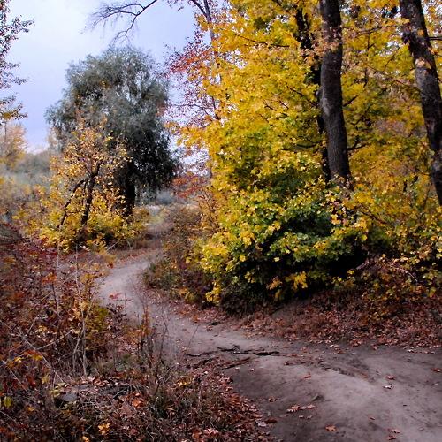 Photo #5220095