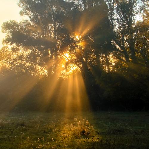 Photo #5220100