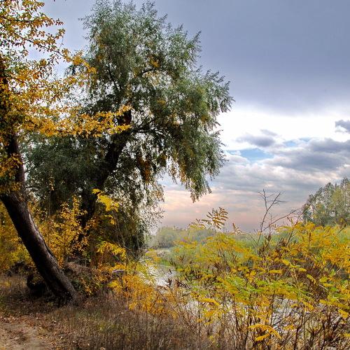 Photo #5220107