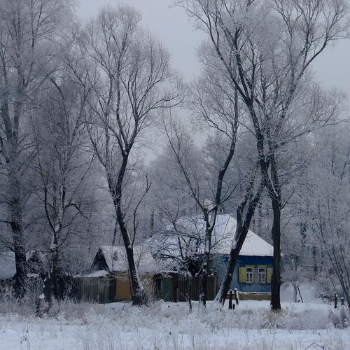 Photo #5220108