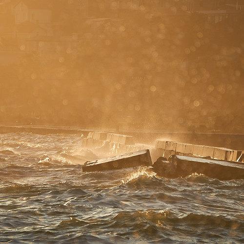 Photo #5220150