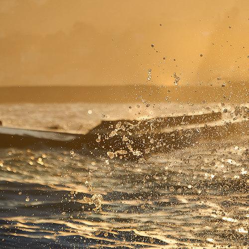 Photo #5220151