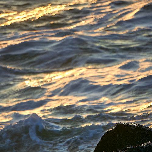 Photo #5220159