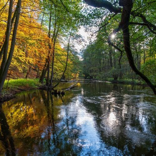 Drawa river
