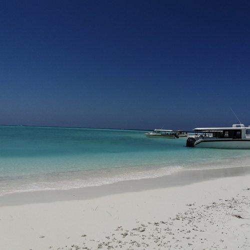 Photo #5220863