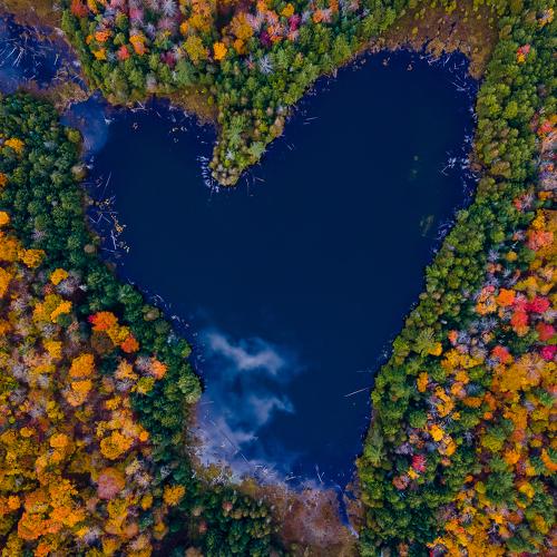Nature's Heart