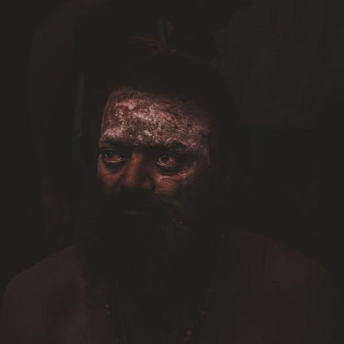 Photo #5221018