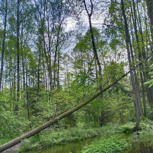 Photo #5221358