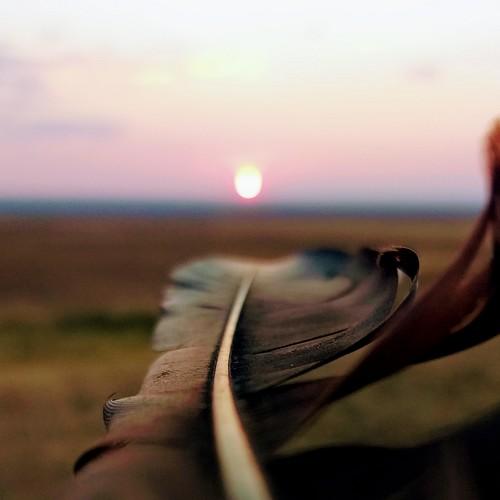 Photo #5221564
