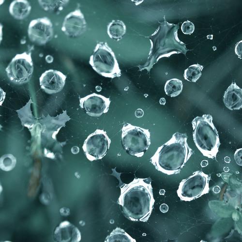 Photo #5222005
