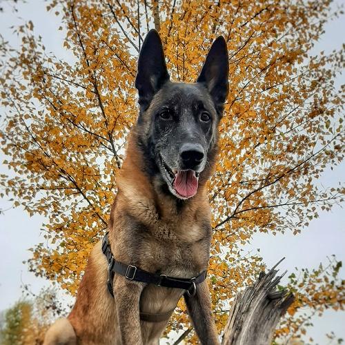 Photo #5222135