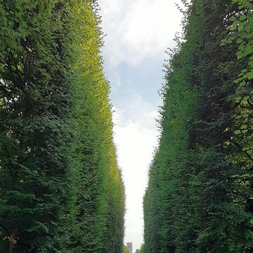 Park Oliva, Gdansk Poland