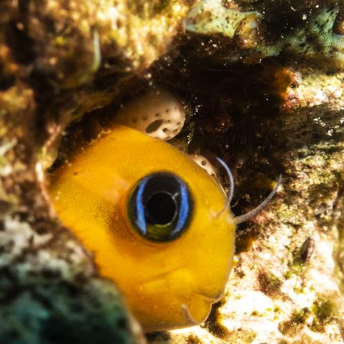 Photo #5222482