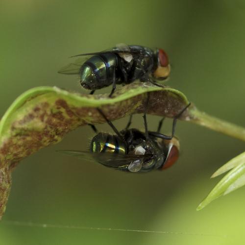 Photo #5222505