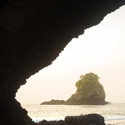 Photo #5222508