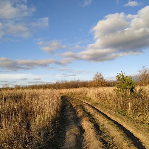 Photo #5222613