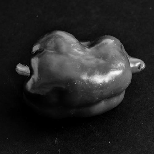 Photo #5222644