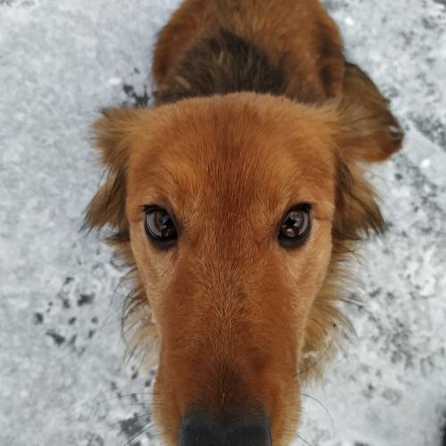 Photo #5222907