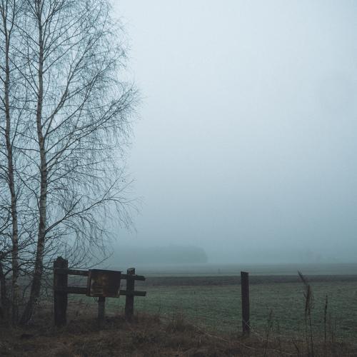 Photo #5223428