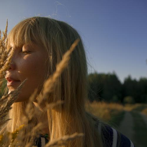 Photo #5223524