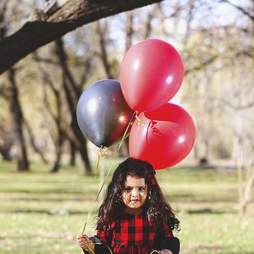 Photo #5223757