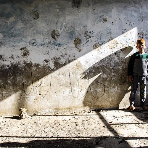 Photo #5223835