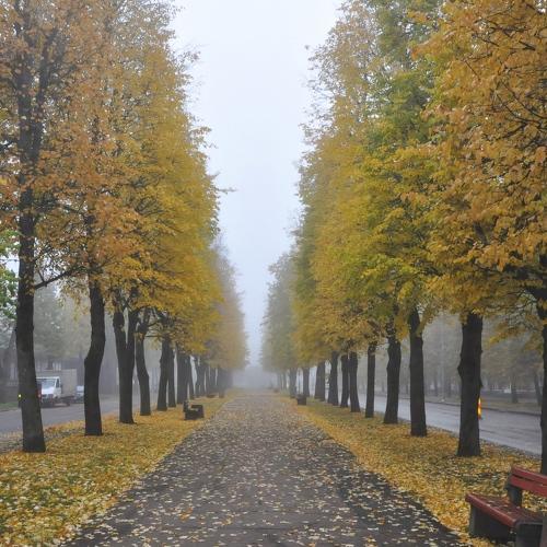 Photo #5224057