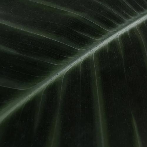 Photo #5224075