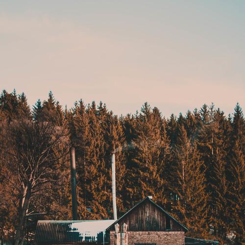 Photo #5224550