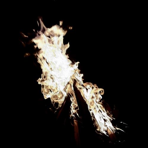 Photo #5224614