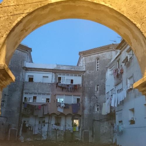 Photo #5225435