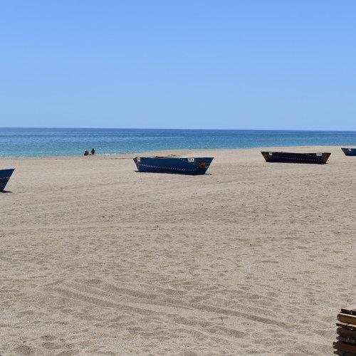 Photo #5225723