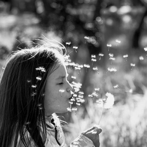 Photo #5226406
