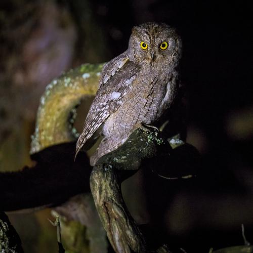 Photo #5226552