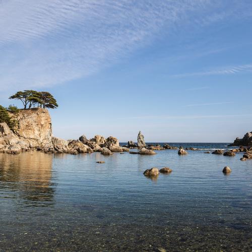 Photo #5226709