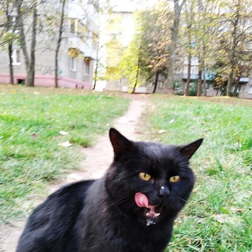 Photo #5226782